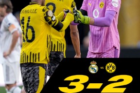 金年会官方网站包含里程碑夜！葡萄牙体育强势反弹，荷甲国际比赛日刷纪录，引发热议，数据趋势出现新变化的词条